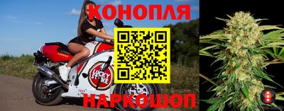 амф Моздок
