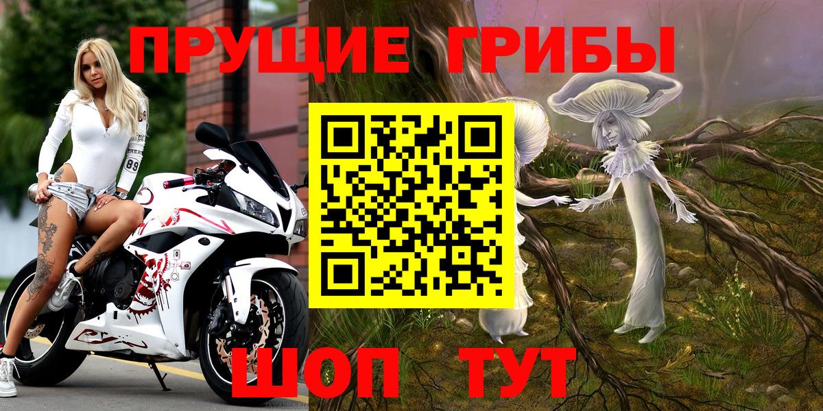 Галлюциногенные грибы Psilocybine cubensis  Вход с VPN  Сегежа  Псилоцибиновые грибы MAGIC MUSHROOMS 