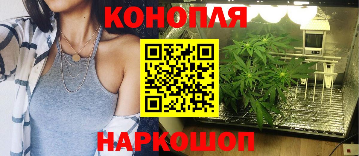 Сегежа  Канабис Bruce Banner  Бошки Шишки OG Kush  Вход с VPN 